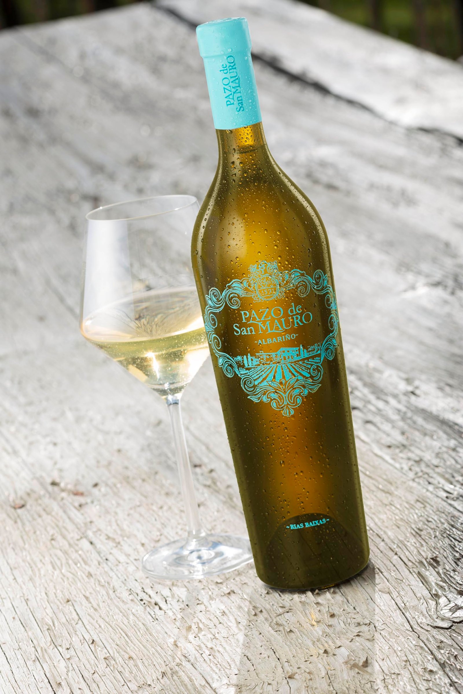 Pazo de San Mauro Albariño 2023 (España) - Copa